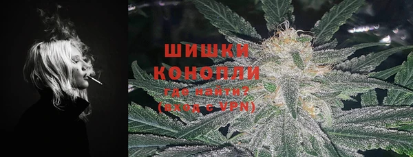 гидра Саяногорск